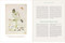 Botany for Herbalists (The Integrative Science of Medicinal Plants) by Hollace Poole-Kavana, 9781643265377