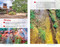 Moon Best of Zion & Bryce (Make the Most of One to Three Days in the Parks) by Maya Silver, Moon Travel Guides, 9798886472806