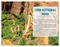 Moon Best of Zion & Bryce (Make the Most of One to Three Days in the Parks) by Maya Silver, Moon Travel Guides, 9798886472806