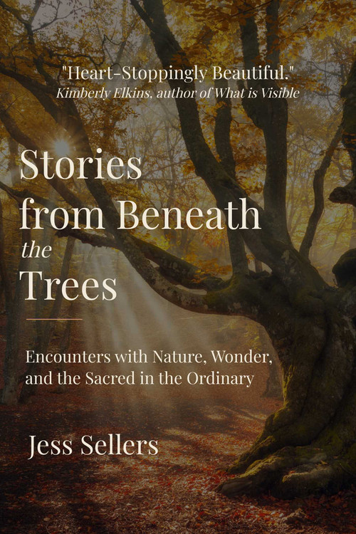 Stories from Beneath the Trees (Encounters with Nature, Wonder, and the Sacred in the Ordinary) by Jess Sellers, 9781961864665