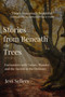 Stories from Beneath the Trees (Encounters with Nature, Wonder, and the Sacred in the Ordinary) by Jess Sellers, 9781961864665