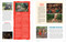 The Official Survivor Companion by Cynthia Wang, Jeff Probst, Survivor, 9798217302123