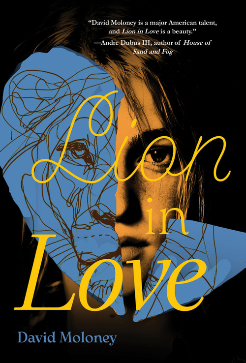 Lion in Love by David Moloney, 9781646038381