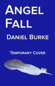 Angel Fall by Daniel Burke, 9781963832822