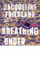 Breathing Under Water by Jacqueline Friedland, 9781400347353
