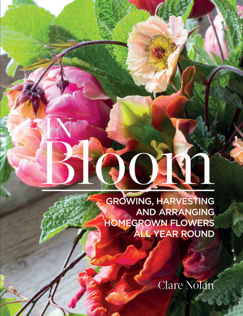 In Bloom (Growing, Harvesting, and Arranging Homegrown Flowers All Year Round) by Clare Nolan, 9781620083284