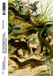 Häuser retten (German Edition) by Anna-Maria Mayerhofer, Leon Beck, Helen Gräser, Tim Rieniets, Alexander Stumm, 9783986123352