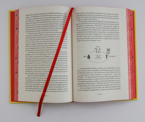 El poder de los hábitos (Edición de regalo) / The Power of Habit (Gift edition) (Spanish Edition) by Charles Duhigg, 9798890988973