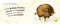 Buffalo Fluffalo by Bess Kalb, Erin Kraan, 9798217235780