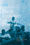 Black Ecologies of Zone A (More-Than-Human Relations on New York's Colonial Shoreline) by Ayasha Guerin, 9781478039884