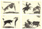 Picasso, Toros y Toreros by Luis-Miguel Dominguin, Georges Boudaille, Pablo Picasso, 9782702212127