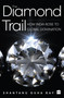 The Diamond Trail (How India Rose to Global Domination) by Shantanu Guha Ray, 9789353026790