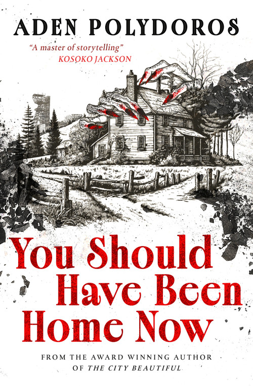 You Should Have Been Home Now by Aden Polydoros, 9781835415047