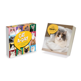 2027 Cat A Day Daily Desktop Calendar by TF Publishing, 9798889616573