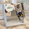 2027 Cat A Day Daily Desktop Calendar by TF Publishing, 9798889616573