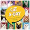 2027 Cat A Day Daily Desktop Calendar by TF Publishing, 9798889616573