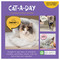 2027 Cat A Day Daily Desktop Calendar by TF Publishing, 9798889616573