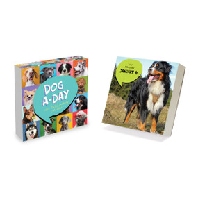 2027 Dog A Day Daily Desktop Calendar by TF Publishing, 9798889616603