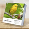 2027 Birds: Backyard & Beyond Daily Desktop Calendar by TF Publishing, 9798889616566