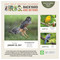 2027 Birds: Backyard & Beyond Daily Desktop Calendar by TF Publishing, 9798889616566