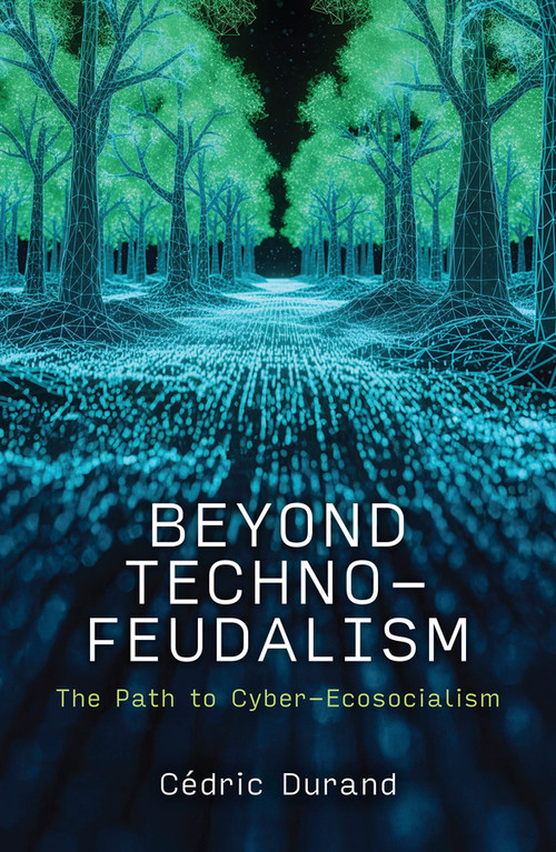 Beyond Technofeudalism (The Path to Cyber-Ecosocialism) by Cédric Durand, David Broder, 9781509572915