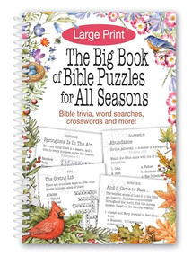 The Big Book of Bible Puzzles for All Seasons by Product Concept editors, 9798993994116