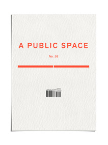 A Public Space No. 36 by Brigid Hughes, 9798998556388