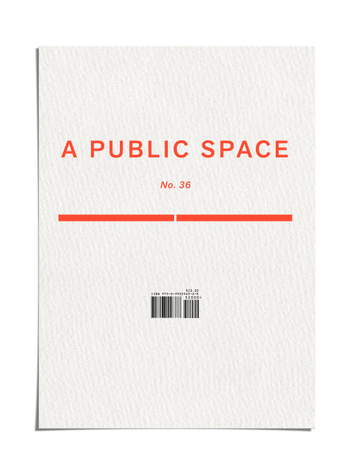 A Public Space No. 36 by Brigid Hughes, 9798998556388