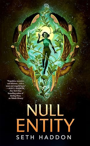 Null Entity by Seth Haddon, 9781250395986