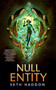Null Entity by Seth Haddon, 9781250395986