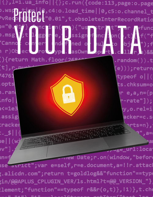 Protect Your Data by Tamra B. Orr, 9798895781159