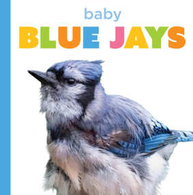 Baby Blue Jays by Graham Morgan, 9798896803775
