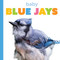 Baby Blue Jays by Graham Morgan, 9798896803775