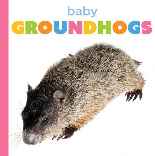 Baby Groundhogs by Graham Morgan, 9798896803799