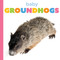 Baby Groundhogs by Graham Morgan, 9798896803799