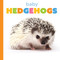 Baby Hedgehogs by Graham Morgan, 9798896803805