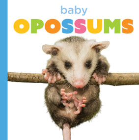 Baby Opossums by Graham Morgan, 9798896803812
