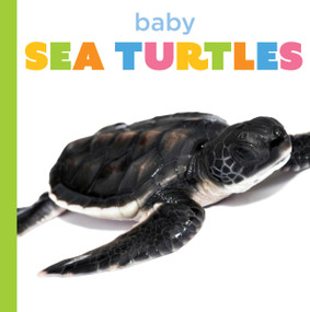 Baby Sea Turtles by Graham Morgan, 9798896803829