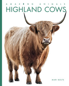 Highland Cows by Mari Bolte, 9798896804079