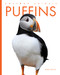 Puffins by Mari Bolte, 9798896804093