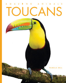 Toucans by Pamela Dell, 9798896804123