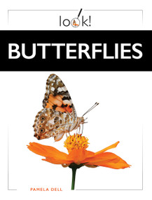 Butterflies by Pamela Dell, 9798896804307