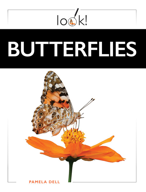 Butterflies by Pamela Dell, 9798896804307