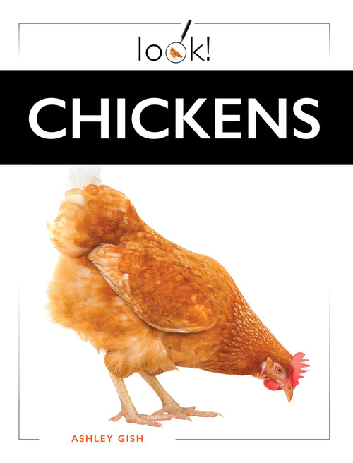 Chickens by Ashley Gish, 9798896804314