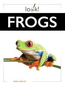 Frogs by Mari Bolte, 9798896804321