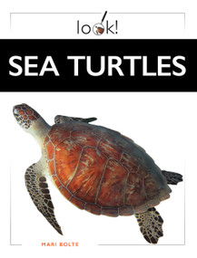 Sea Turtles by Mari Bolte, 9798896804338