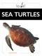 Sea Turtles by Mari Bolte, 9798896804338