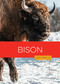 Bison by Melissa Gish, 9798896805076