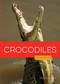 Crocodiles by Melissa Gish, 9798896805083