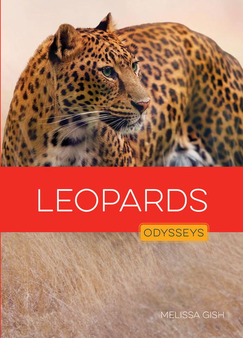 Leopards by Melissa Gish, 9798896805106